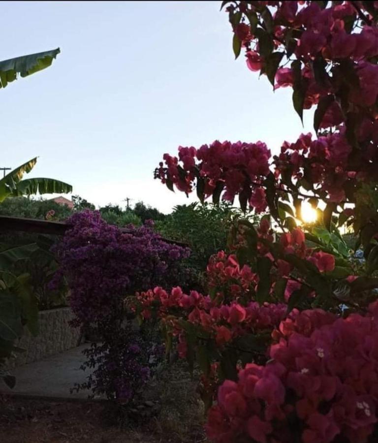 Aglaia House Villa Kouspádhes Kültér fotó