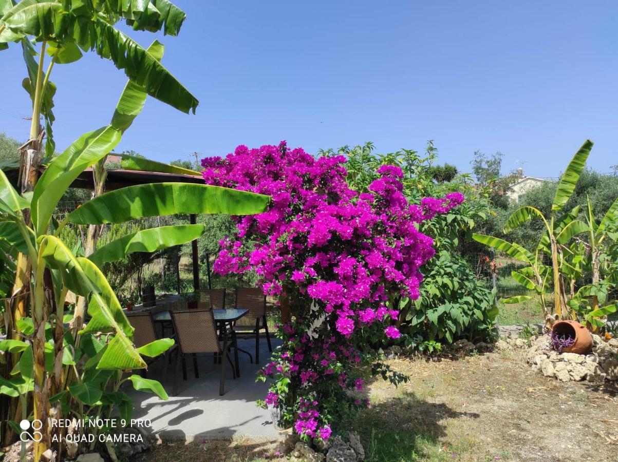 Aglaia House Villa Kouspádhes Kültér fotó